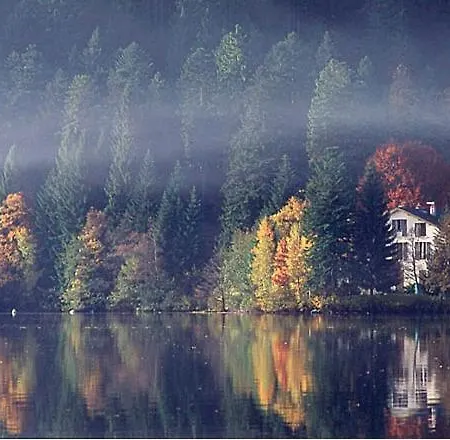 La Salamandre * Gérardmer
