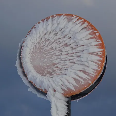 La Salamandre Gérardmer