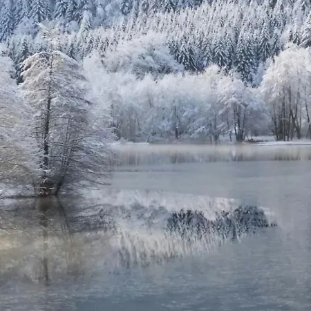 Appartamento La Salamandre