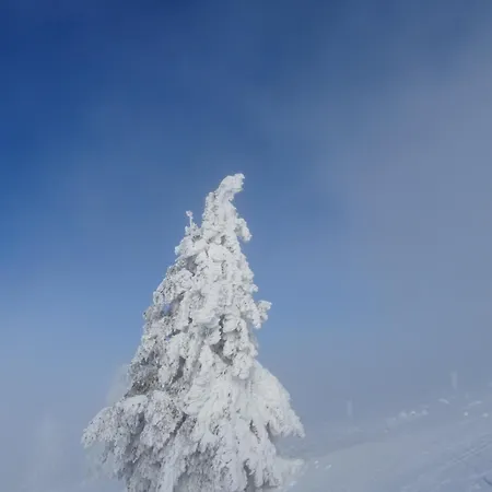 La Salamandre Апартаменты *