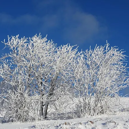 Appartamento La Salamandre *