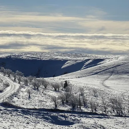 La Salamandre Gérardmer