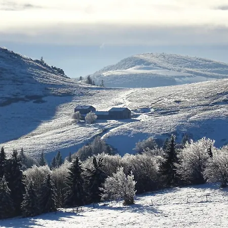 La Salamandre