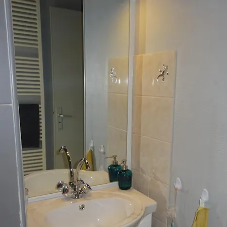 Apartament La Salamandre