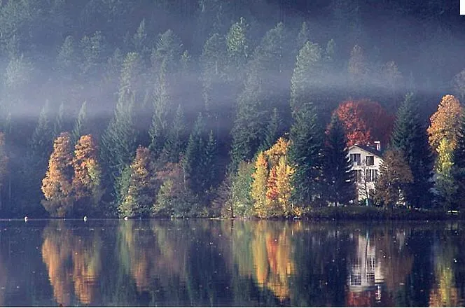 La Salamandre * Gérardmer