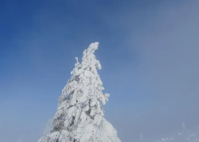 La Salamandre Διαμέρισμα *