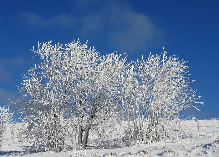 Διαμέρισμα La Salamandre *