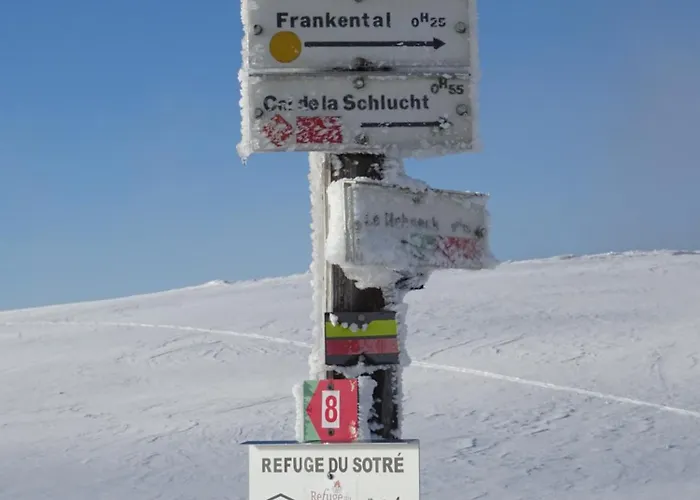 La Salamandre Διαμέρισμα Gérardmer