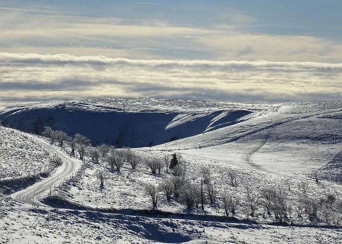 La Salamandre Gérardmer